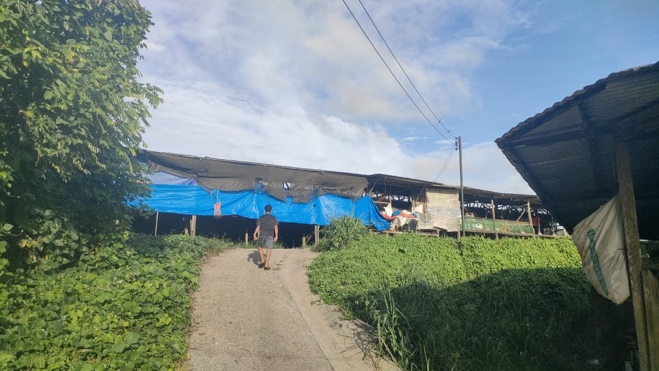 Kawasan ladang ayam rakan